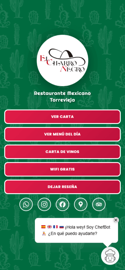 Conversación con ChefBot