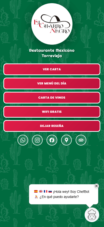 Conversación con ChefBot